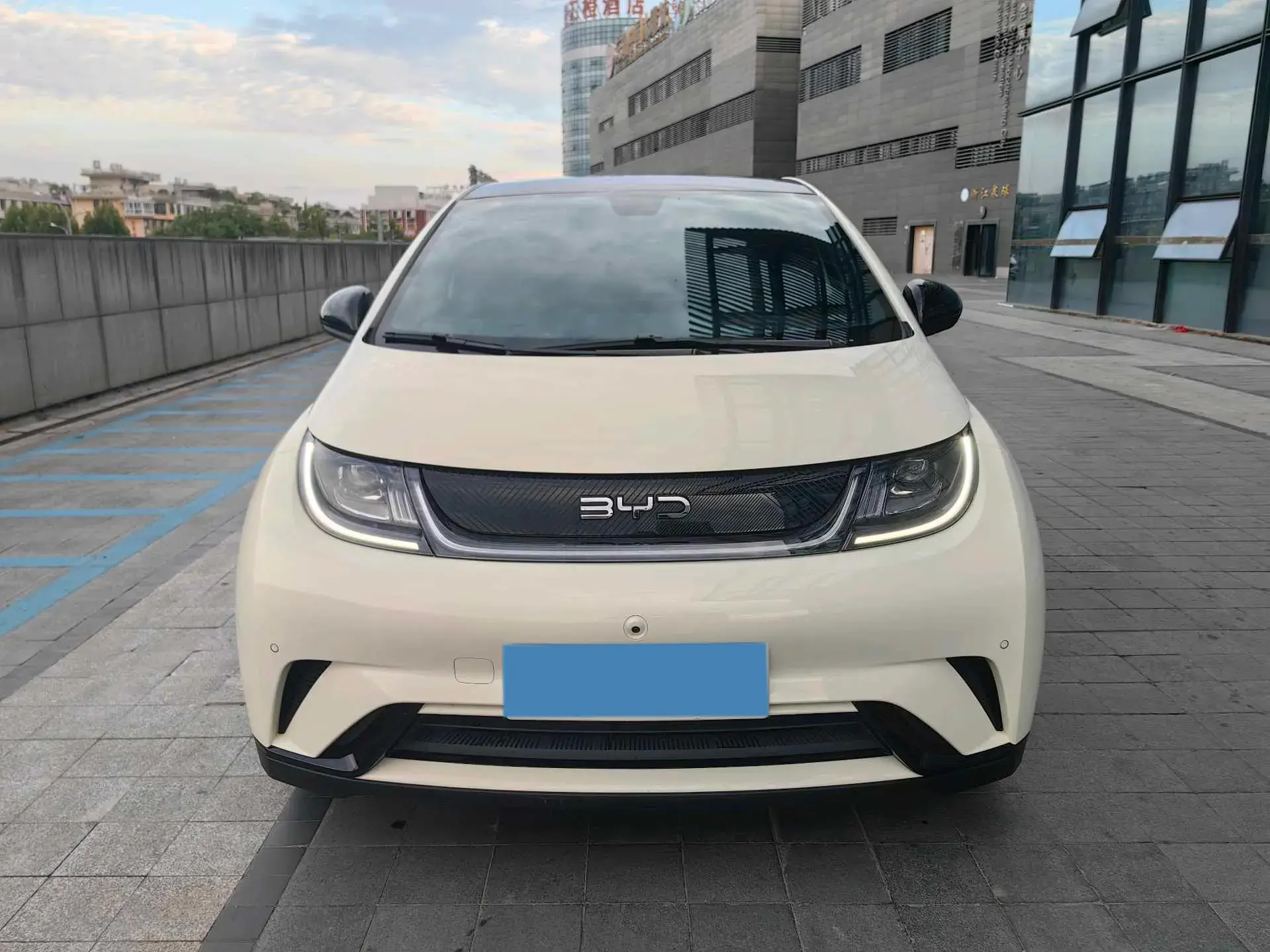 2024 BYD DOLPHIN thumbnail 2