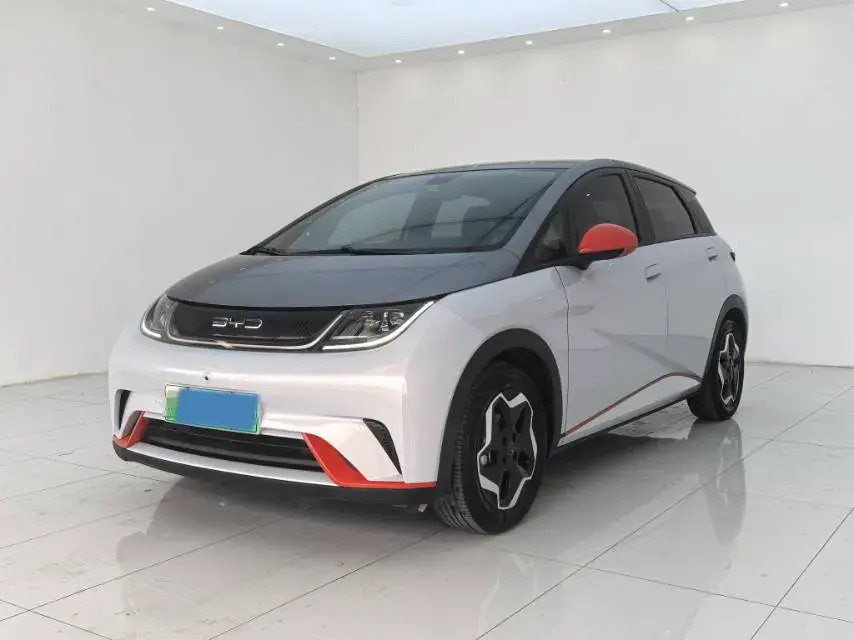 2021 BYD DOLPHIN view 1