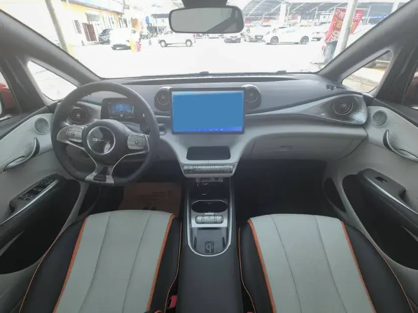 2021 BYD DOLPHIN thumbnail 4