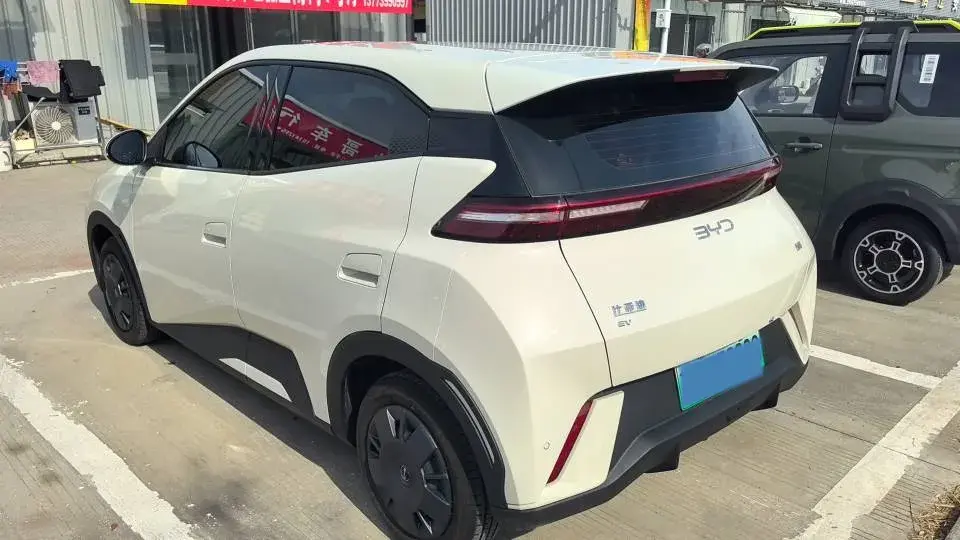 2025 BYD SEAGULL thumbnail 2