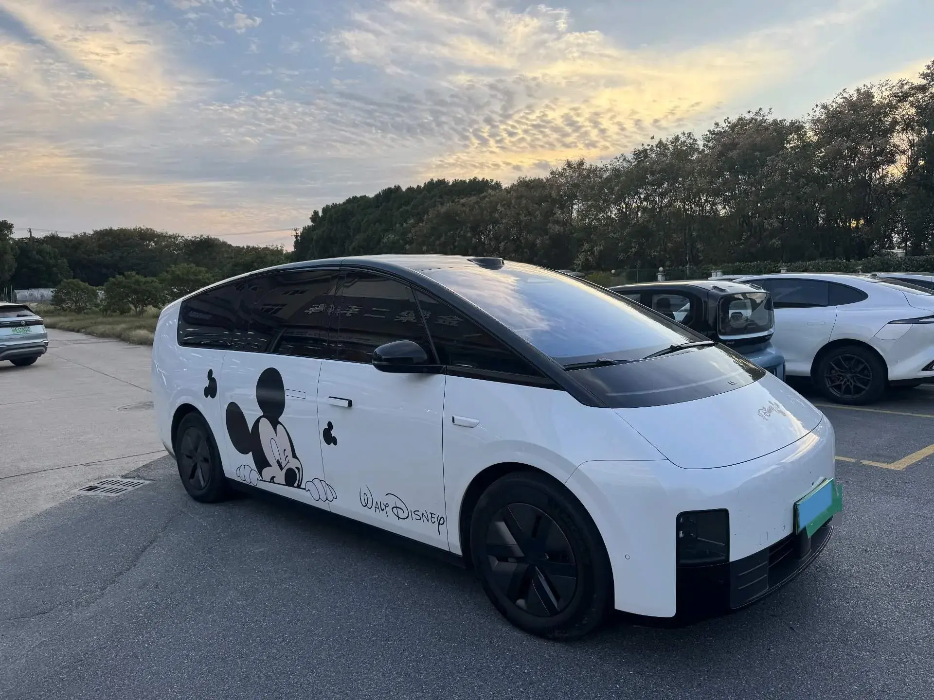 2025 LI MEGA thumbnail 3