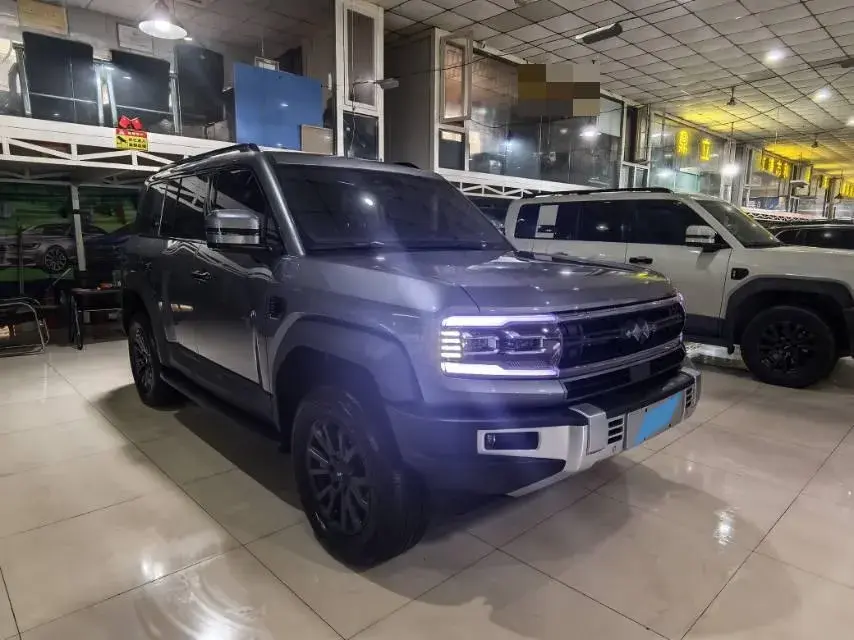 2023 FANGCHENGBAO BAO thumbnail 3