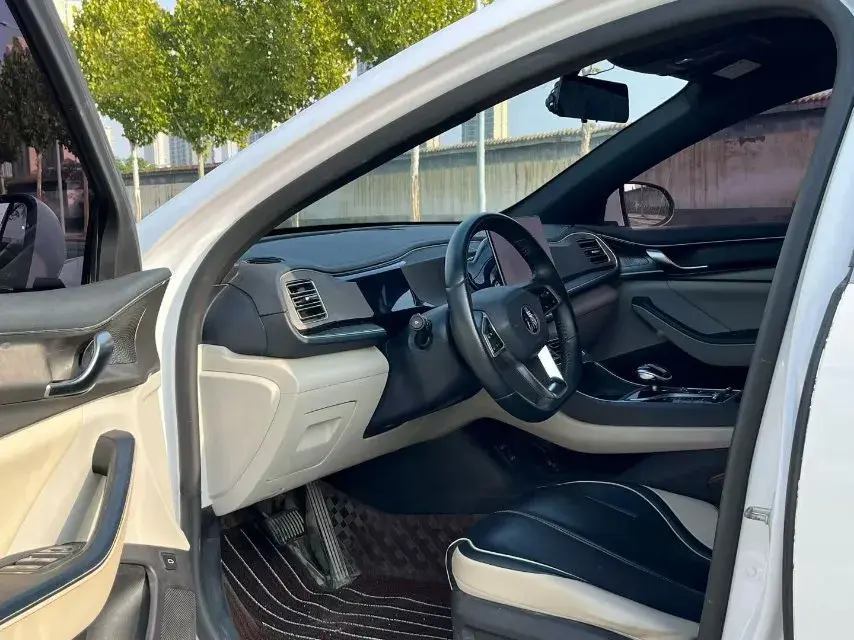 2021 BYD QIN thumbnail 4