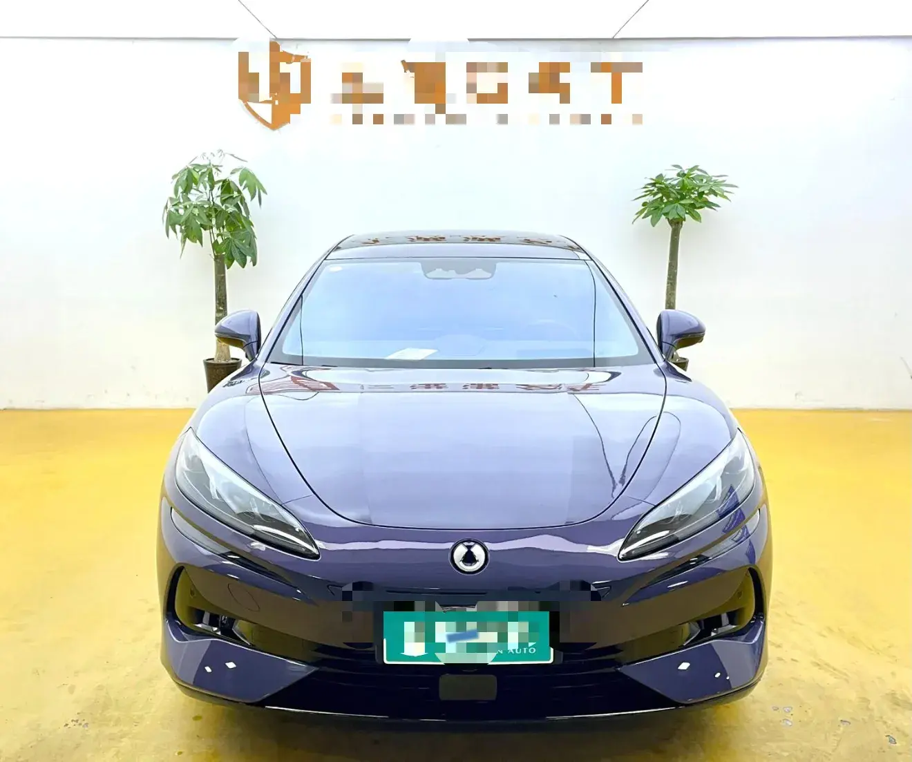 2024 DENZA DENZAZ9 thumbnail 2