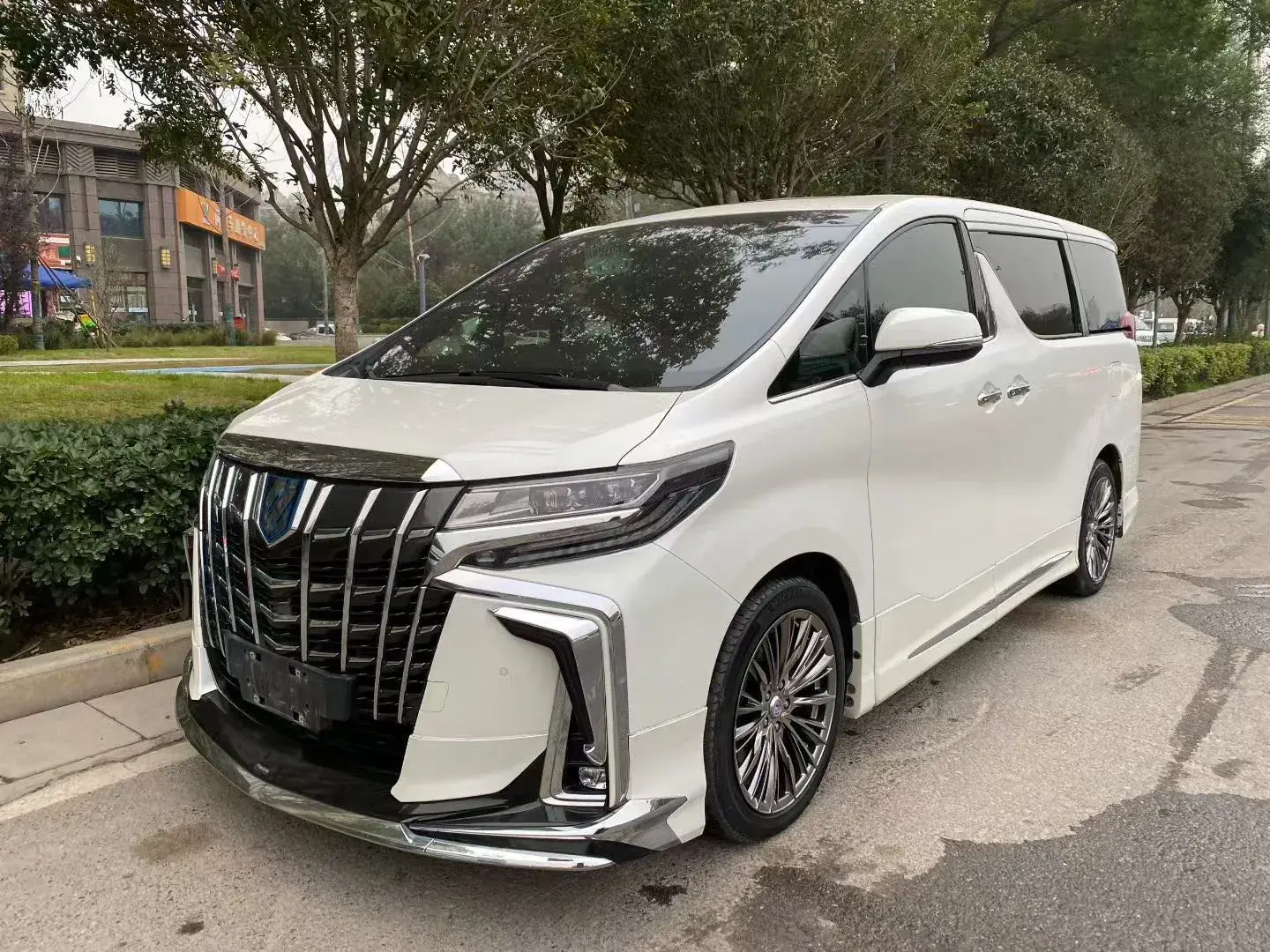 2021 TOYOTA ALPHARD view 1