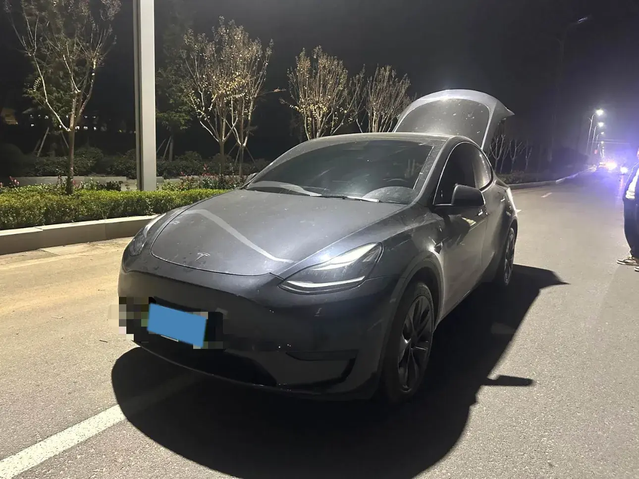 2024 TESLA MODEL view 1