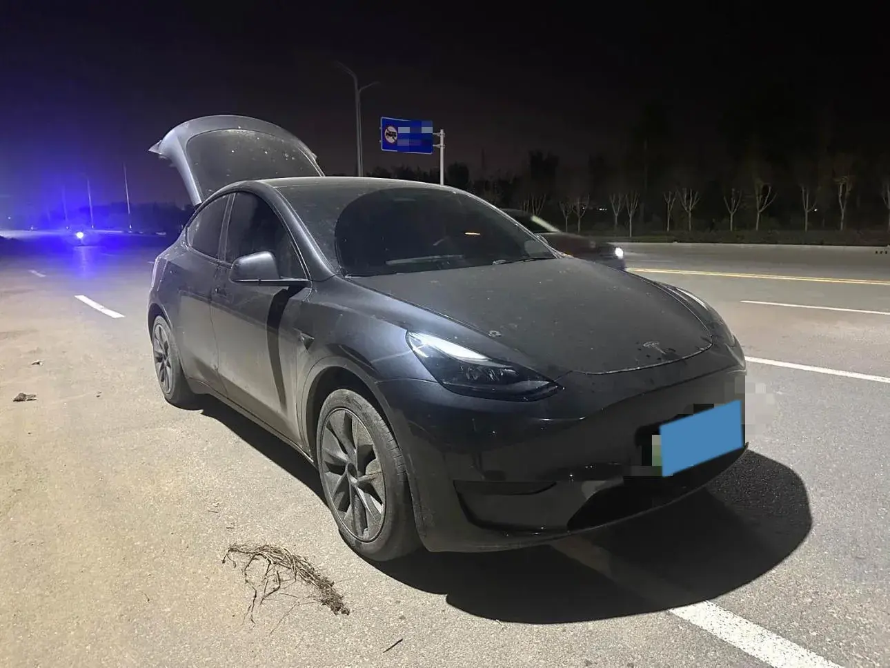 2024 TESLA MODEL thumbnail 2