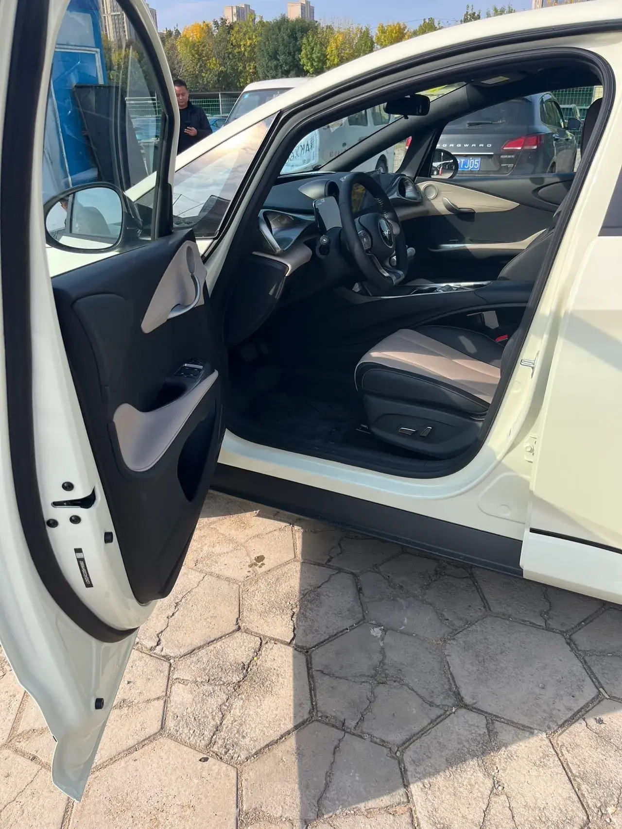 2025 BYD DOLPHIN thumbnail 2