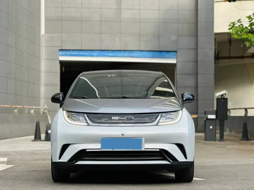 2021 BYD DOLPHIN thumbnail 2