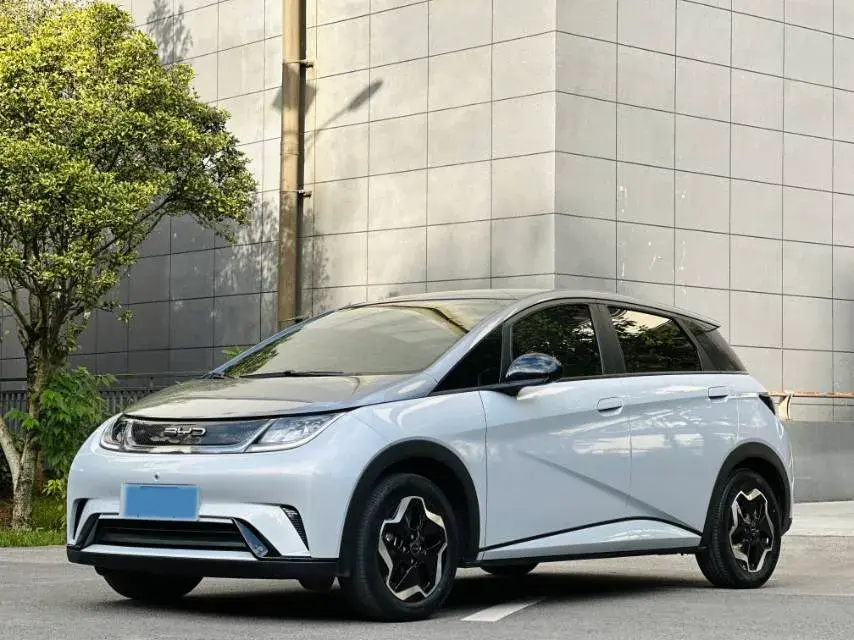 2021 BYD DOLPHIN view 1