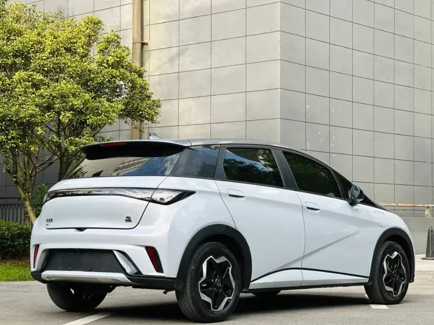 2021 BYD DOLPHIN thumbnail 4