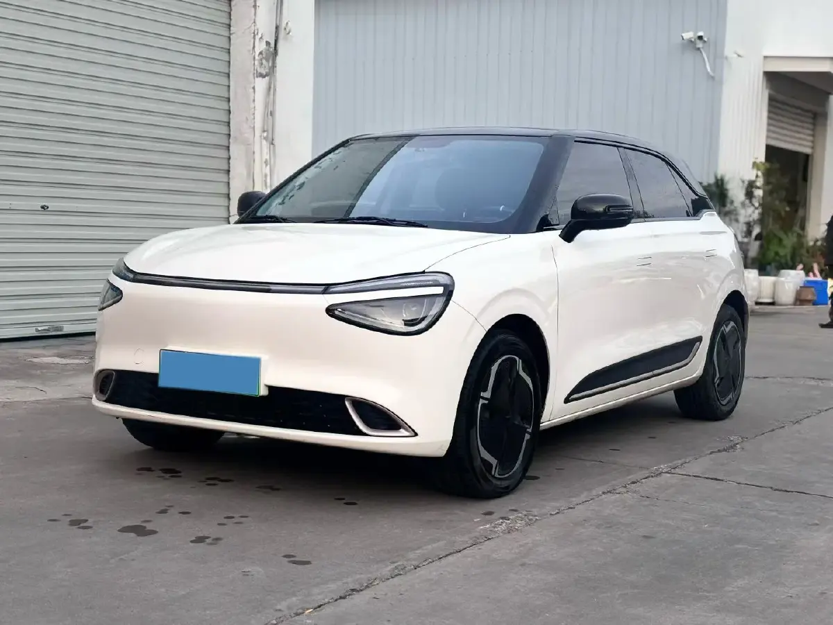 2024 DongFeng Nammi 01 BEV 42.3KWH