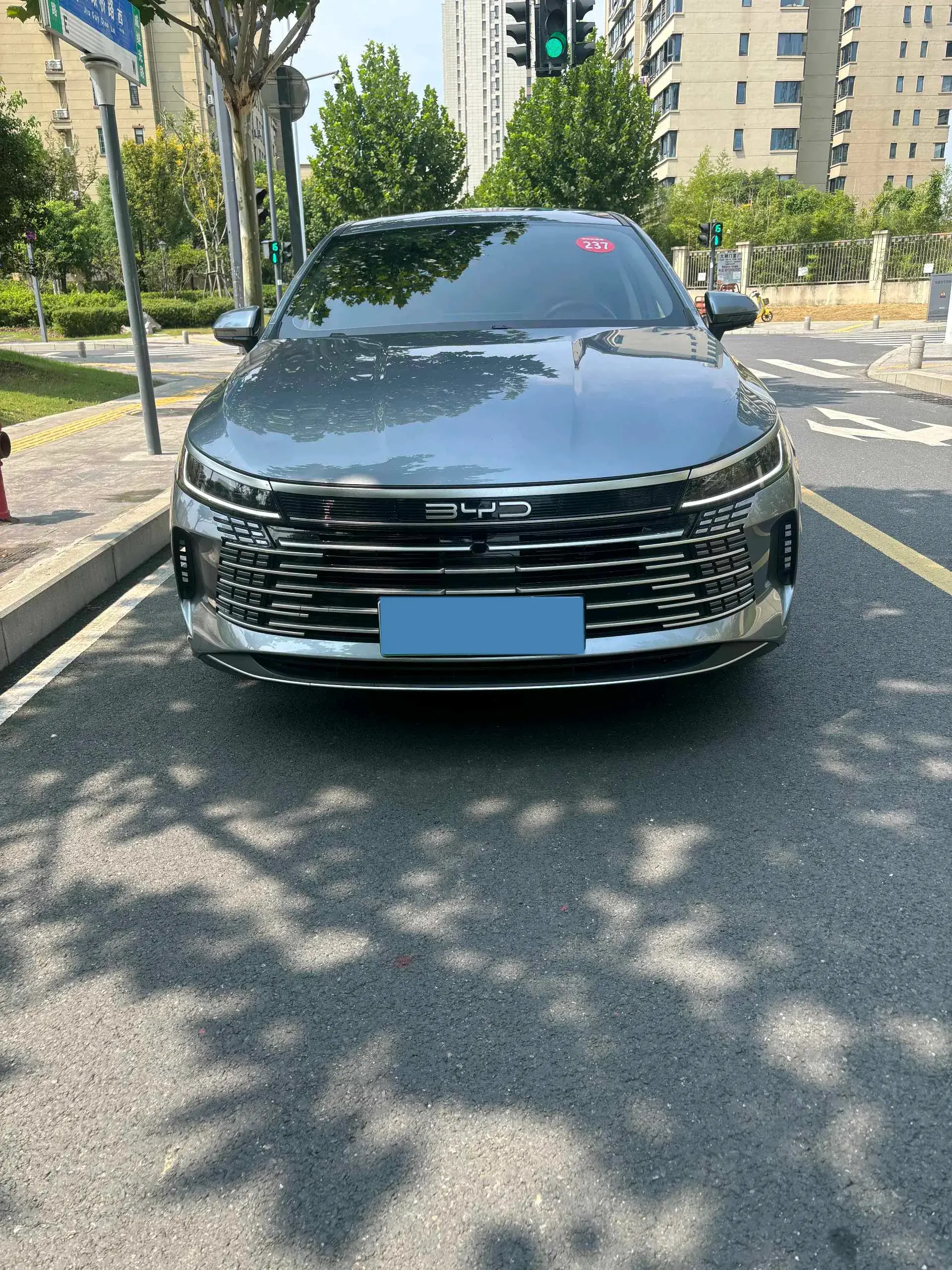 2024 BYD DESTROYER thumbnail 2