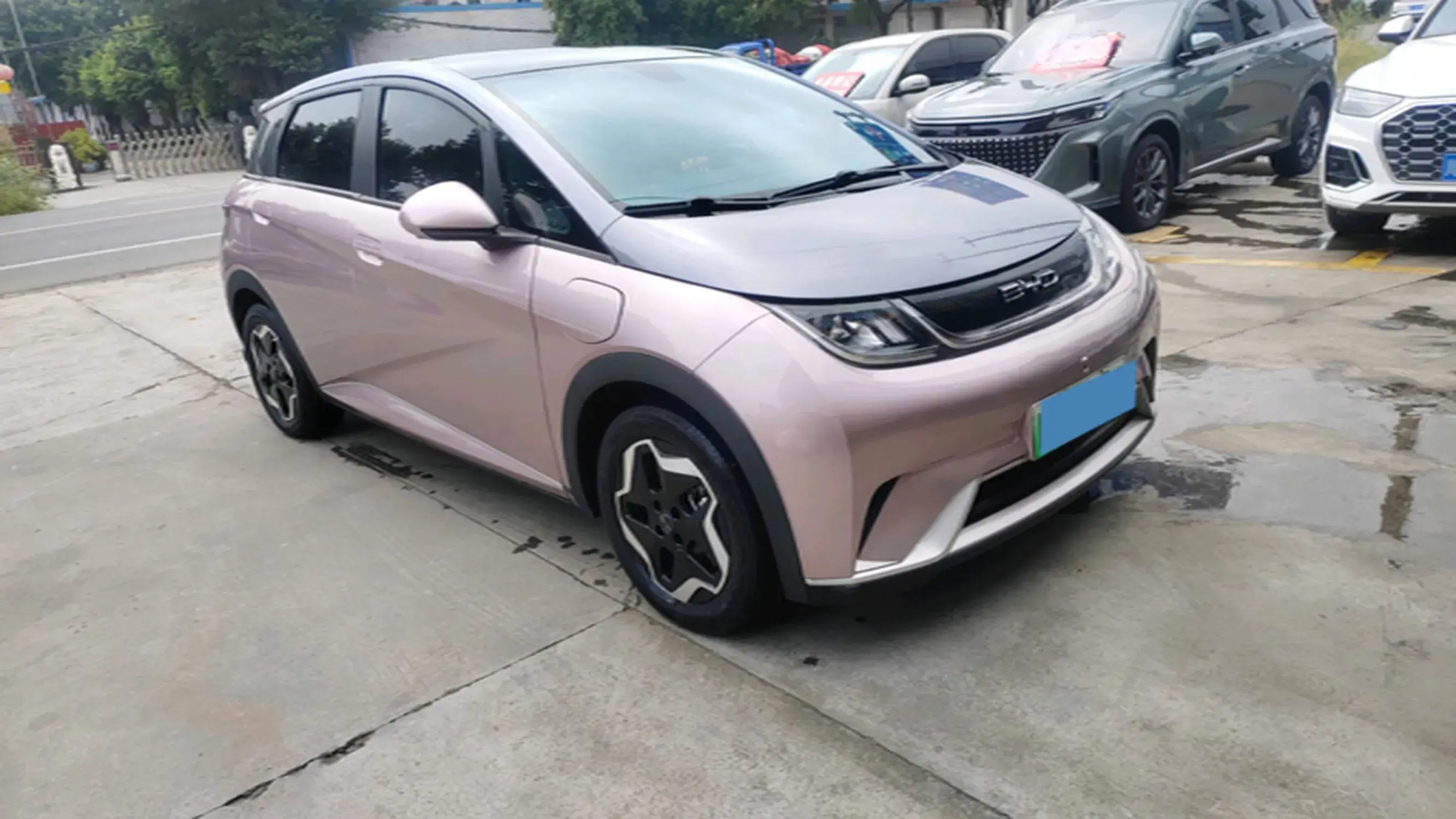 2021 BYD DOLPHIN thumbnail 2