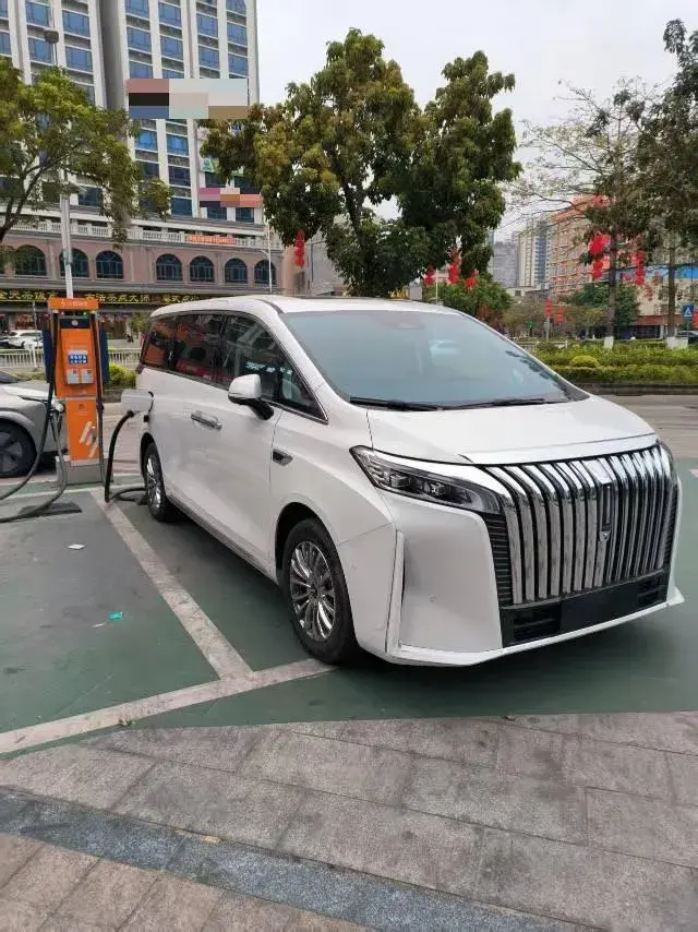 2024 HONGQI HQ9 thumbnail 2