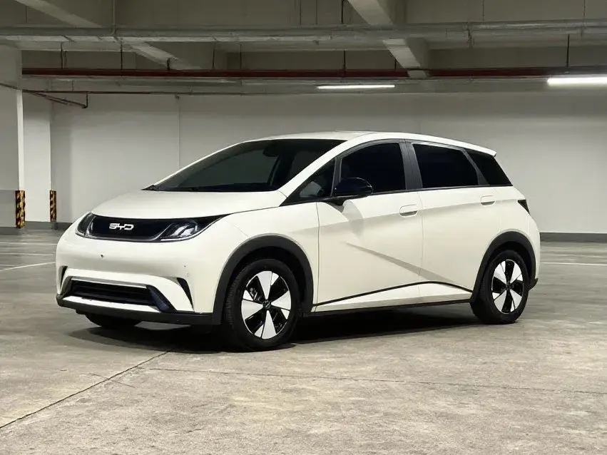 2023 BYD DOLPHIN view 1
