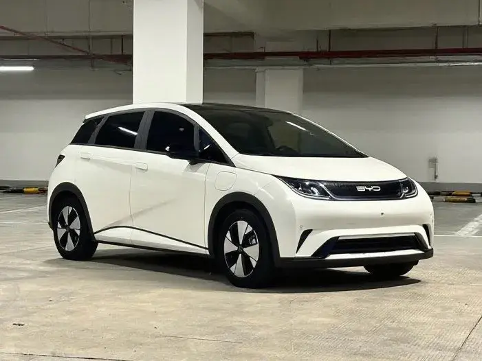 2023 BYD DOLPHIN thumbnail 3