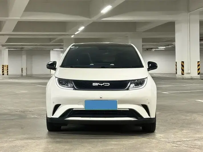 2023 BYD DOLPHIN thumbnail 2