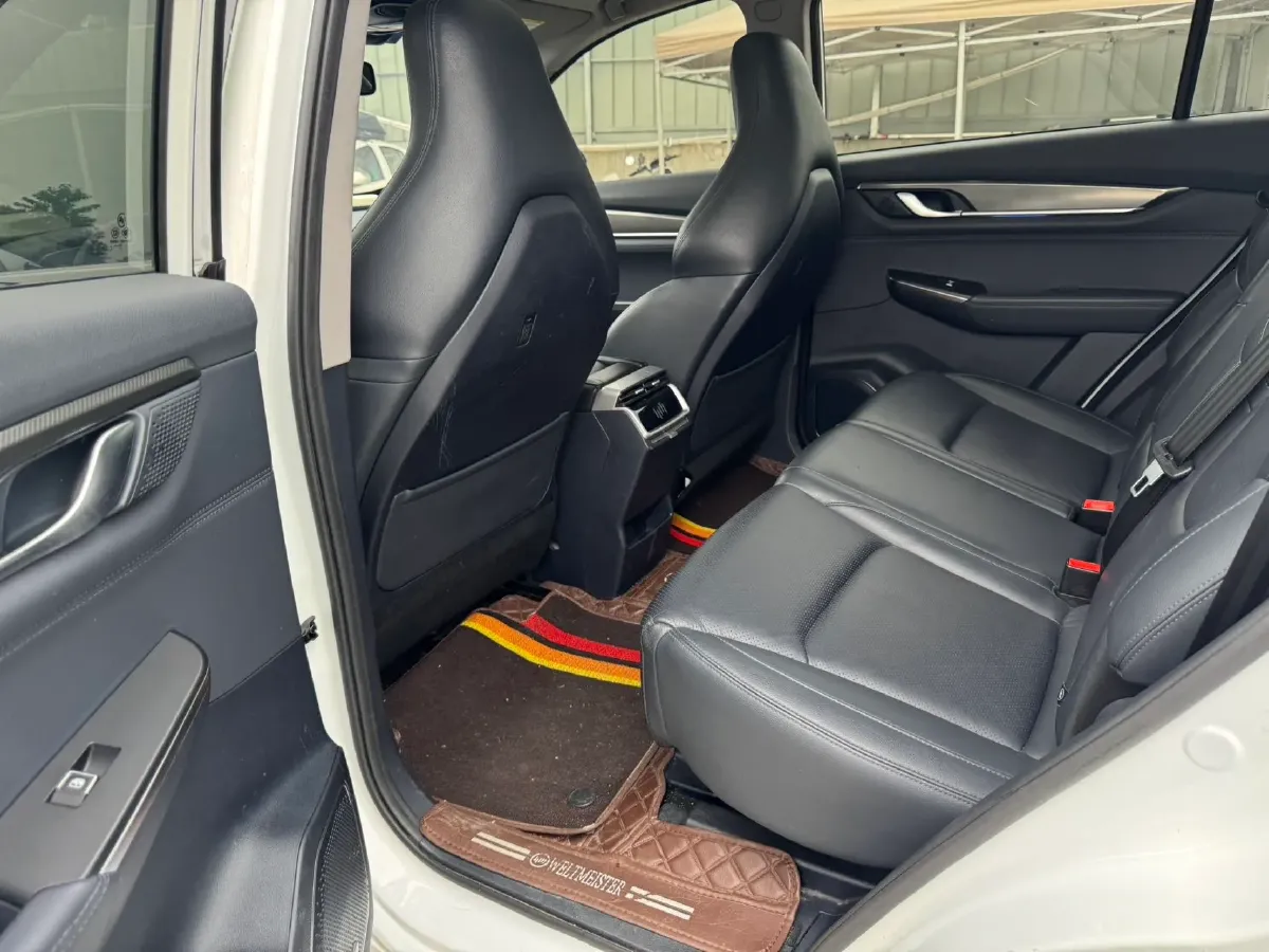 2020 Weltmeister EX6 BEV 69KWH,autocango,china used car exporter,china ev exporter,chinese used car exporter,chinese used ev exporter