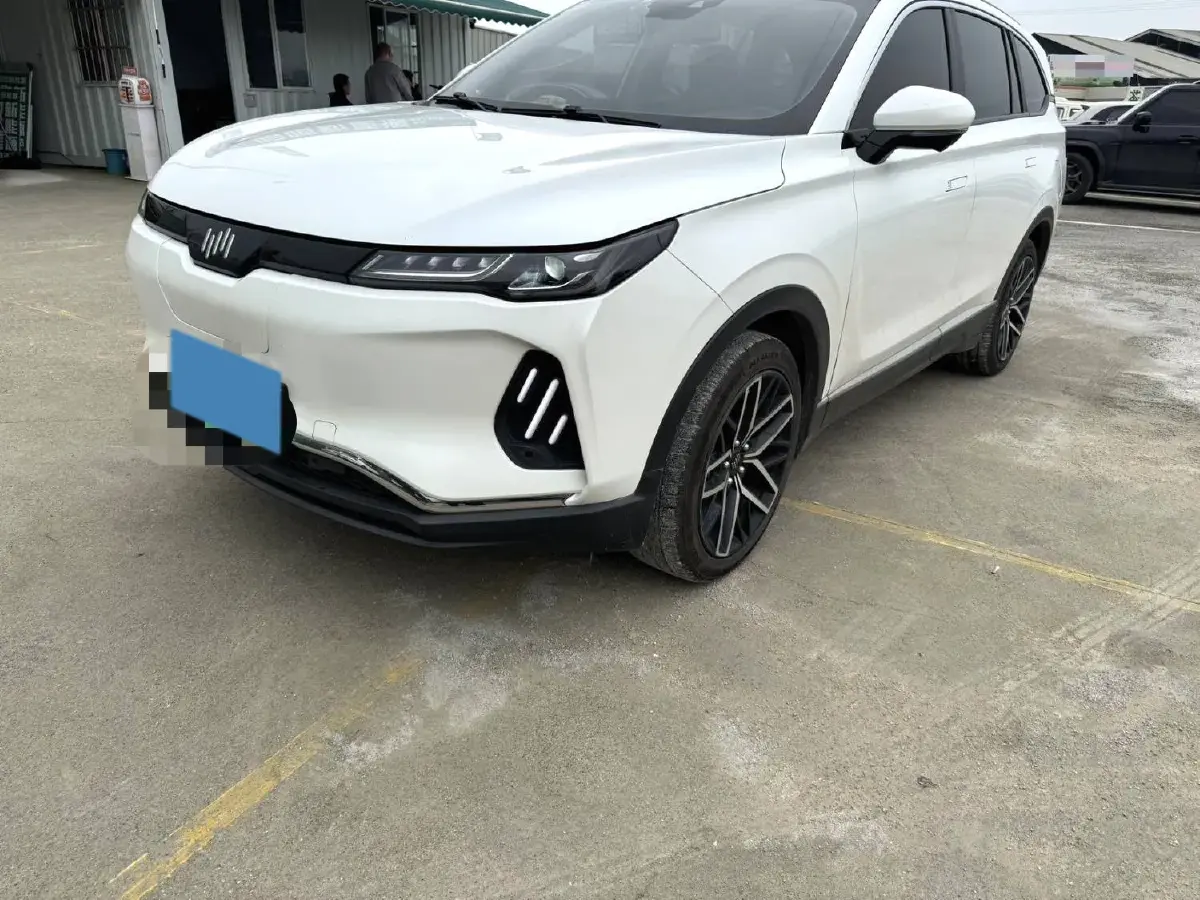 2020 Weltmeister EX6 BEV 69KWH