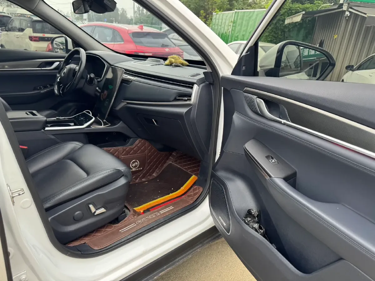 2020 Weltmeister EX6 BEV 69KWH,autocango,china used car exporter,china ev exporter,chinese used car exporter,chinese used ev exporter