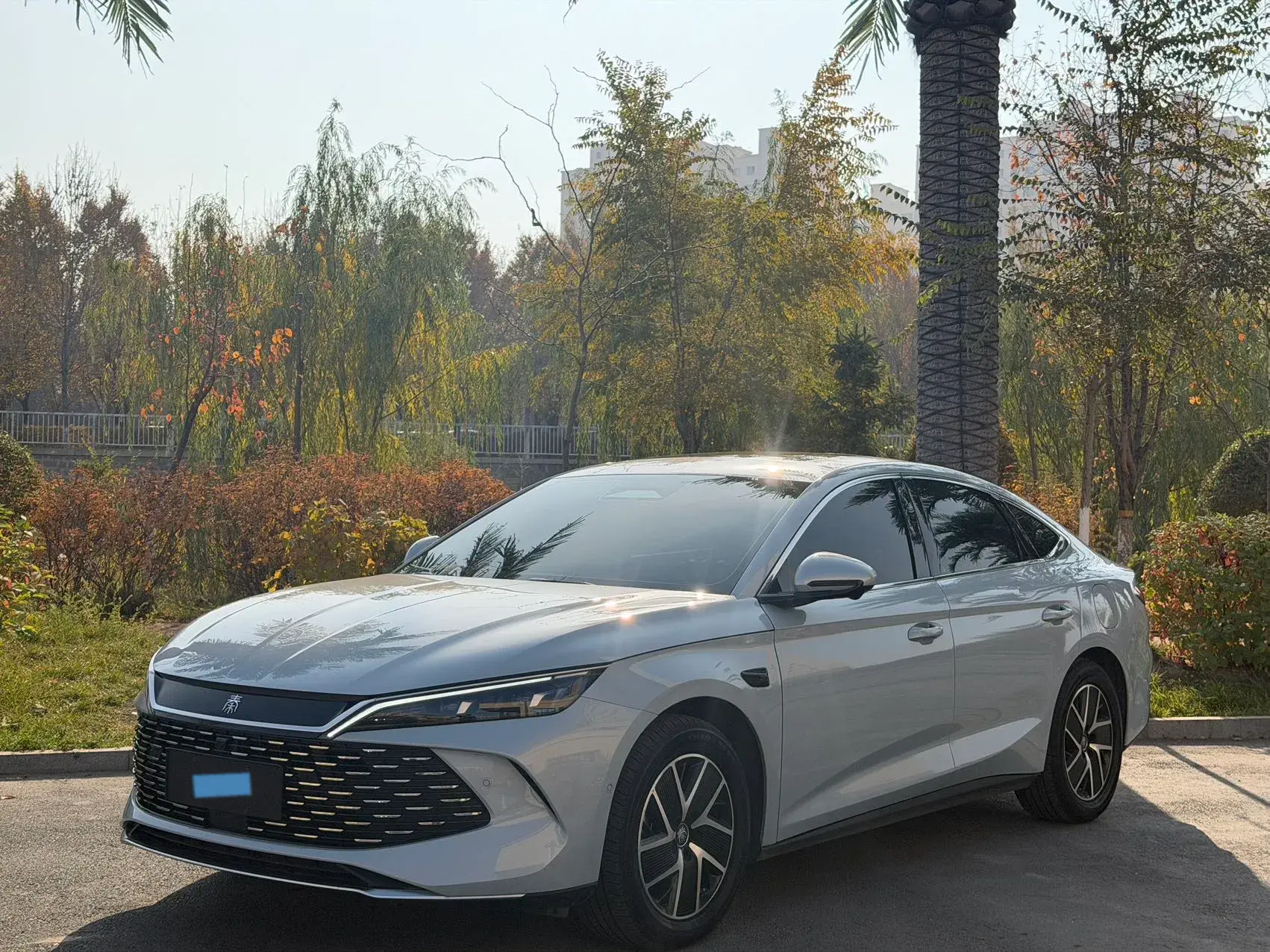 2025 BYD QINL view 1