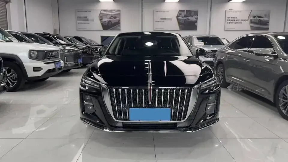 2024 HONGQI H5 thumbnail 2