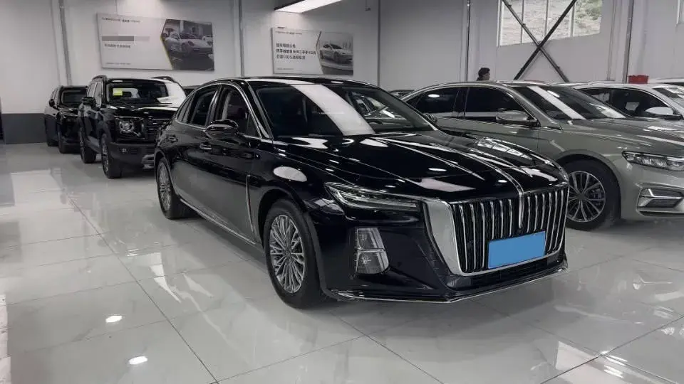 2024 HONGQI H5 thumbnail 3