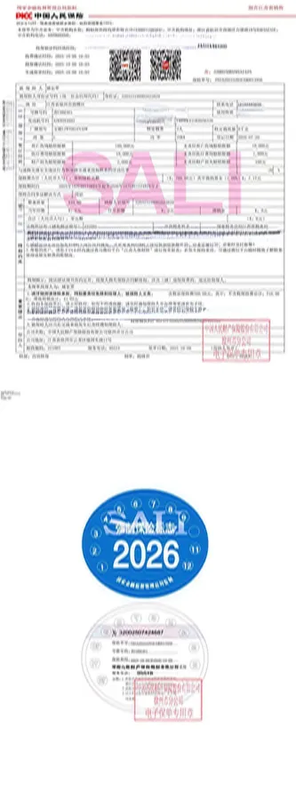 2019 BaoJun E100 BEV 24KWH,autocango,china used car exporter,china ev exporter,chinese used car exporter,chinese used ev exporter