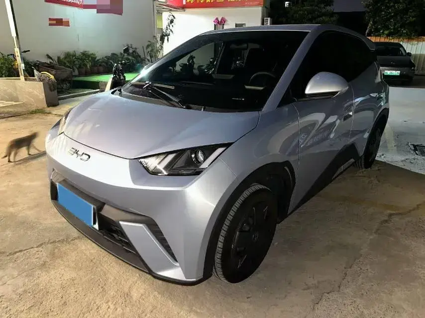 2024 BYD SEAGULL view 1