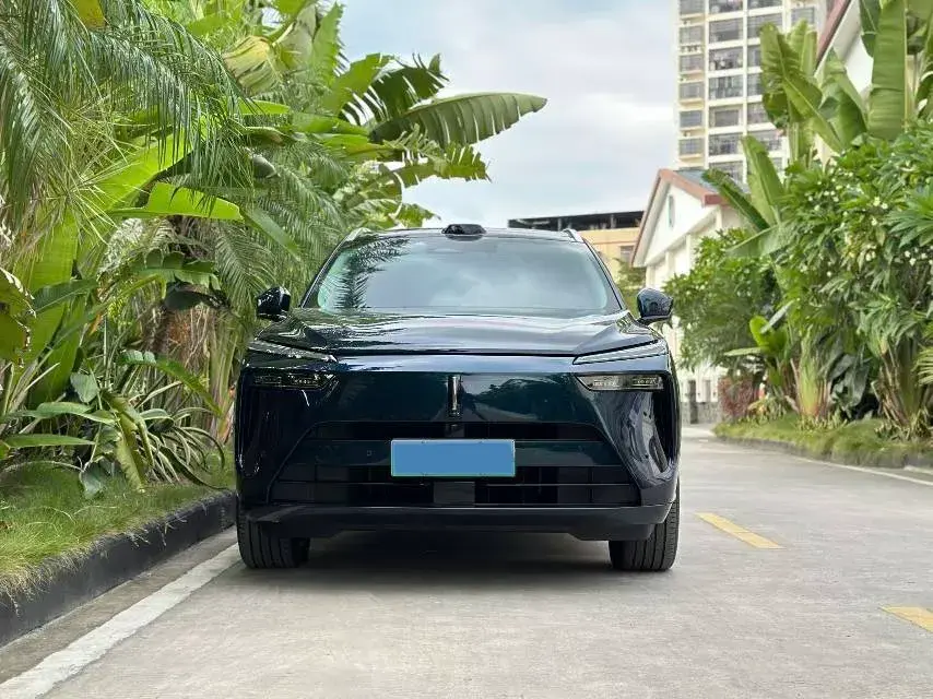 2025 WEY BLUEMOUNTAIN thumbnail 2