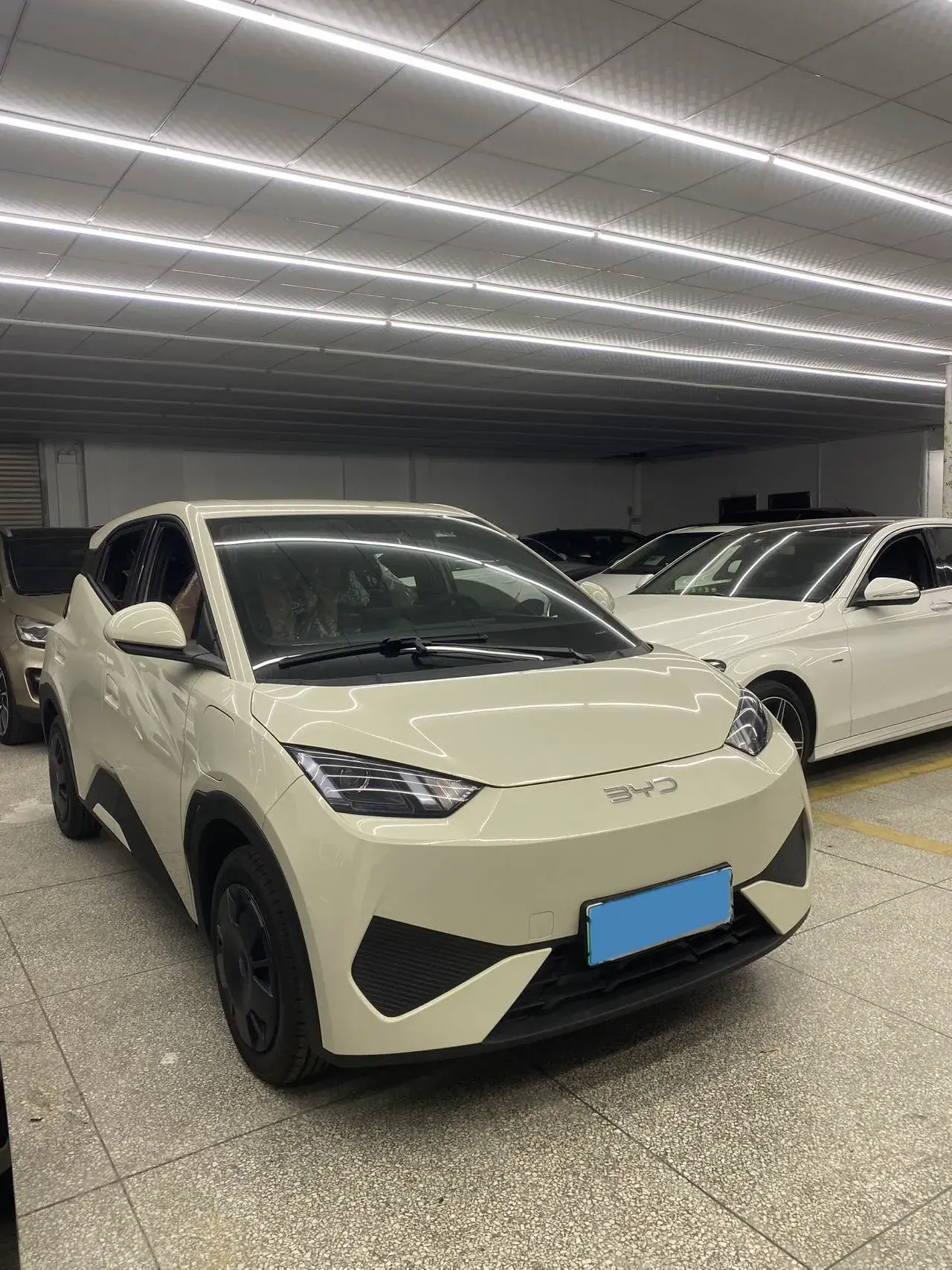 2025 BYD SEAGULL thumbnail 2