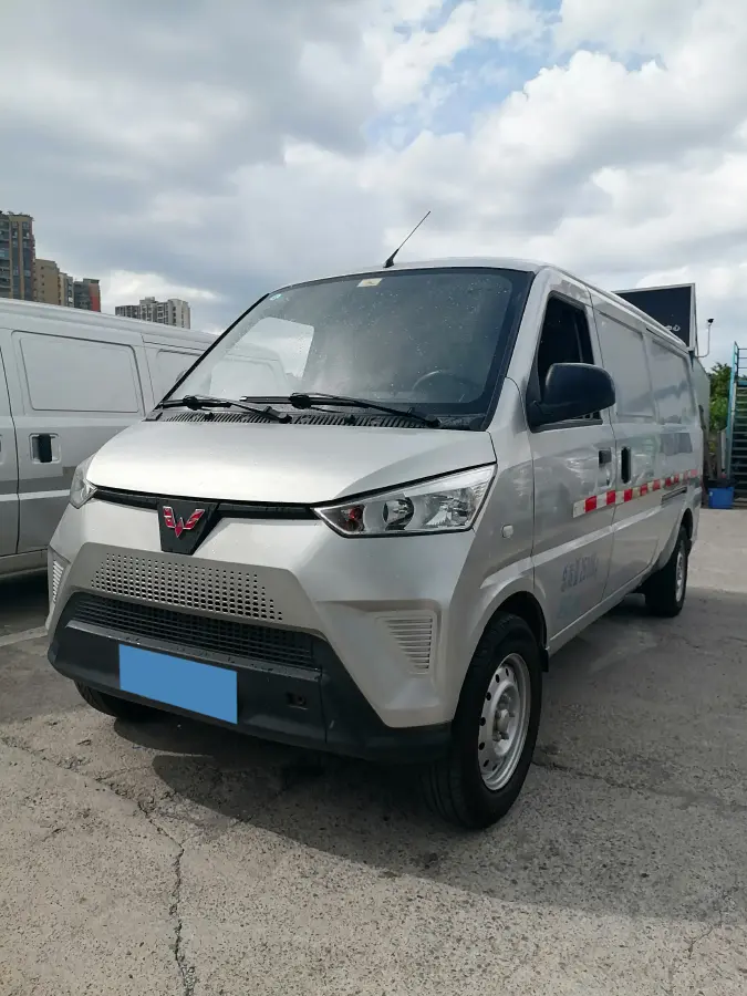 2020 WuLing EV50 BEV 43.2KWH
