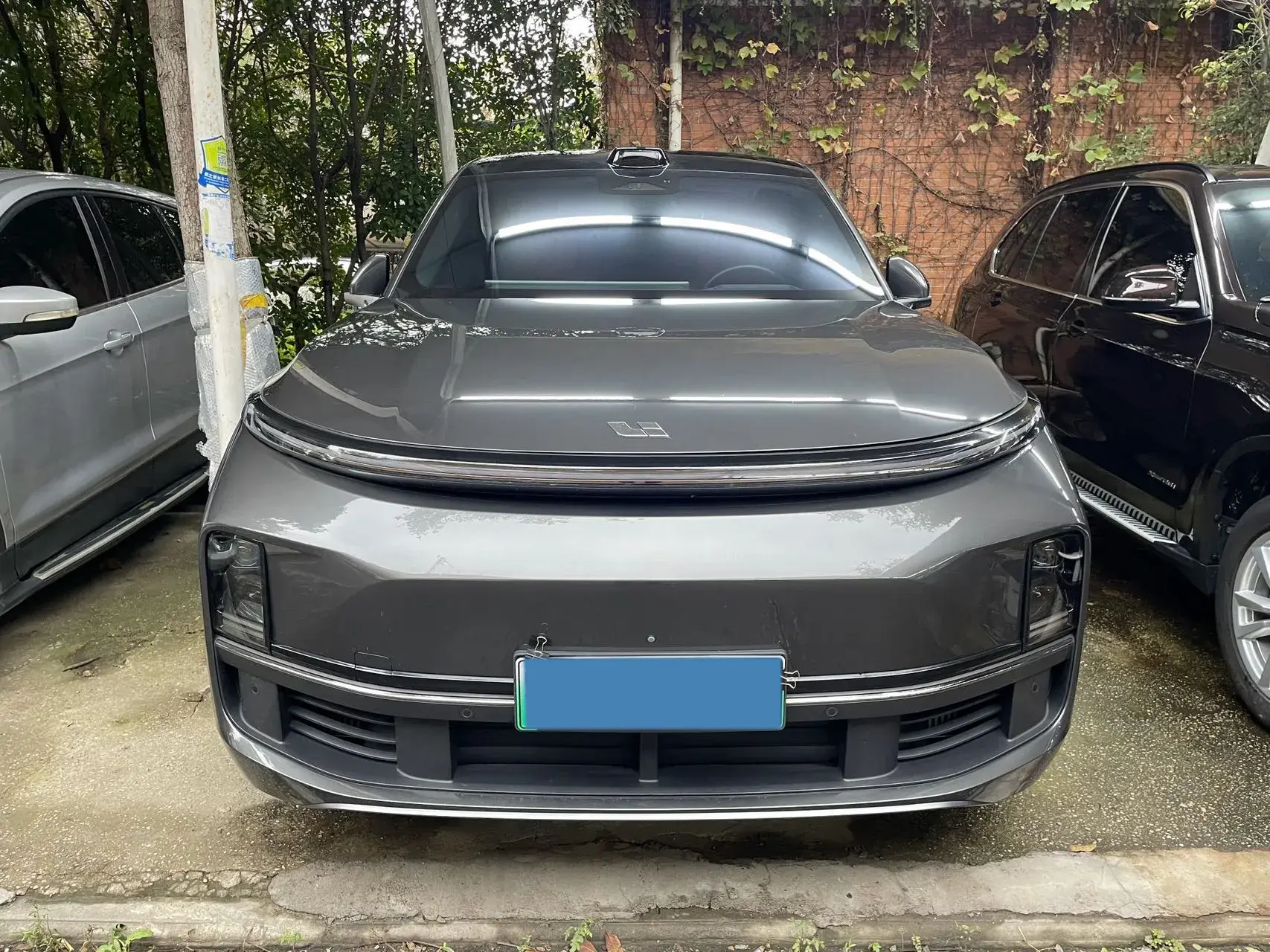 2022 LI L9 thumbnail 2