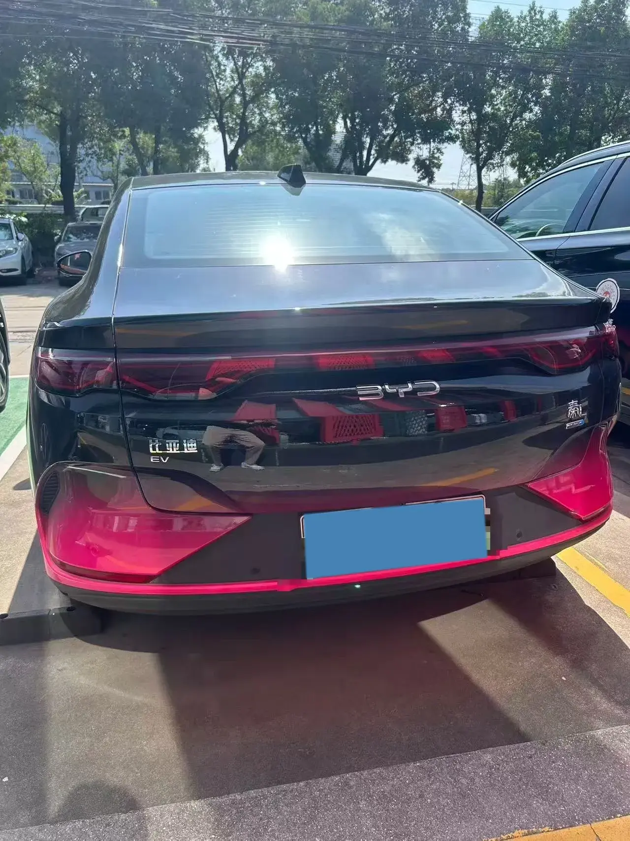 2025 BYD QINL thumbnail 2