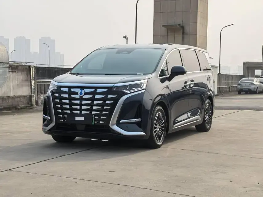 2022 Denza D9 1.5T 139HP L4 E-CVT PHEV 40.06KWH