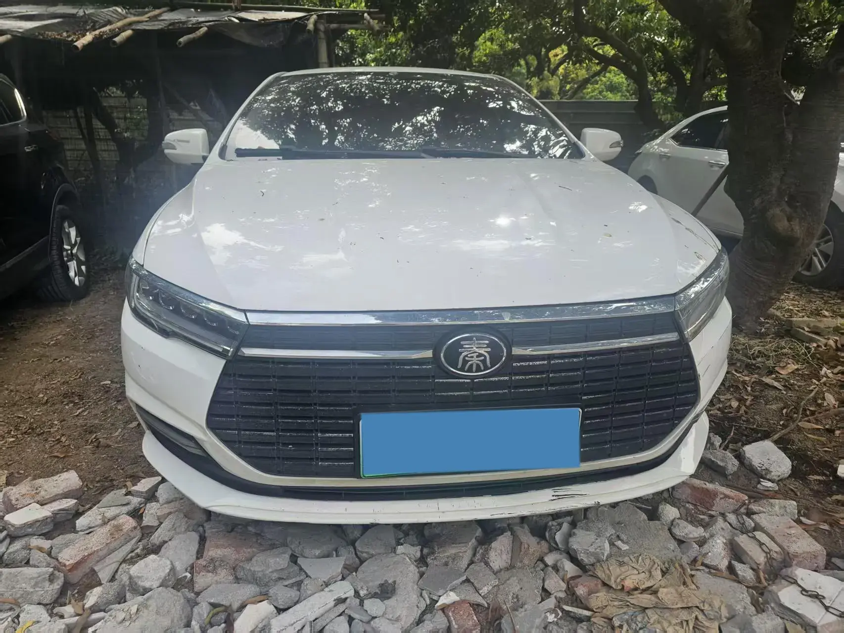 2021 BYD QIN thumbnail 3