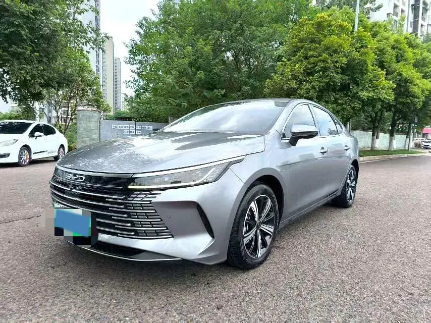 2022 BYD DESTROYER view 1