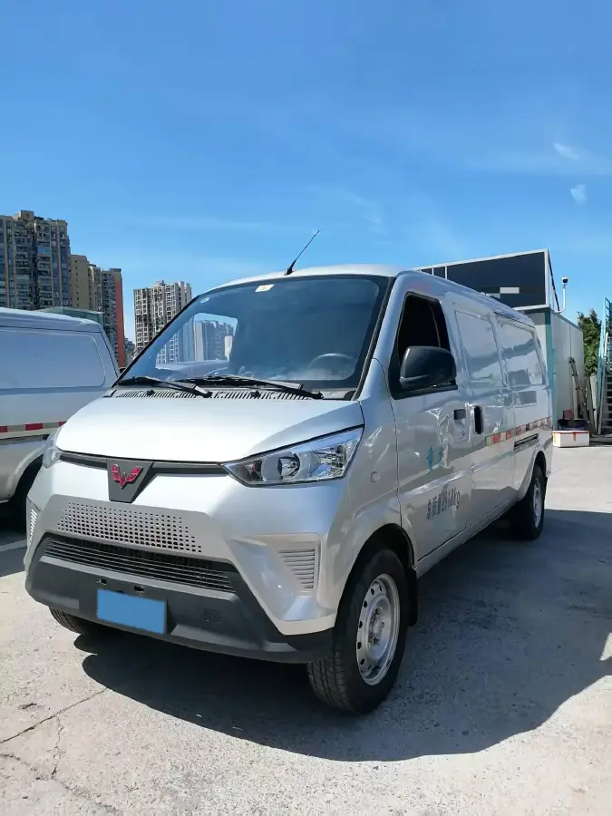 2021 WuLing EV50 BEV 41.6KWH