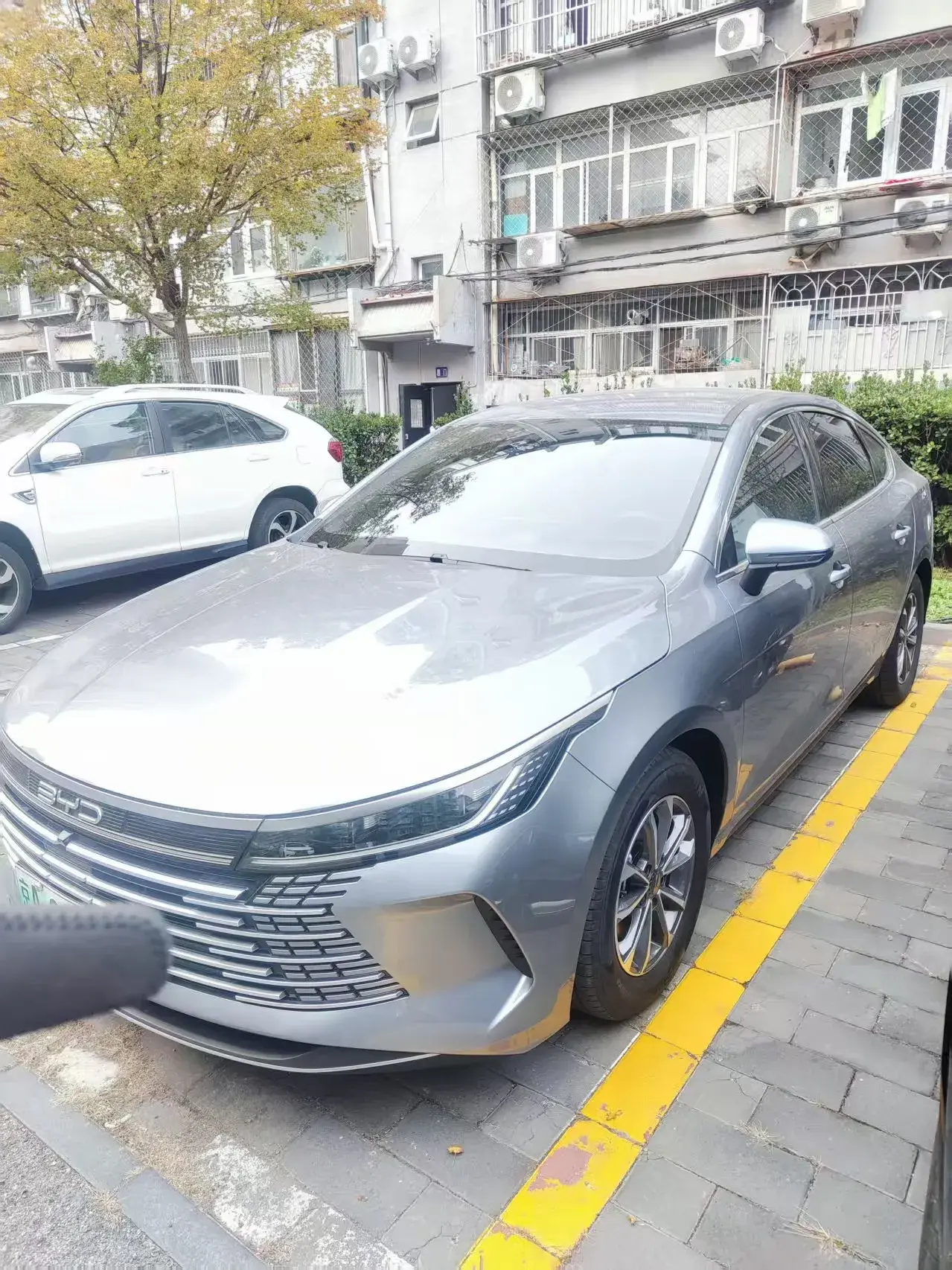 2024 BYD DESTROYER view 1