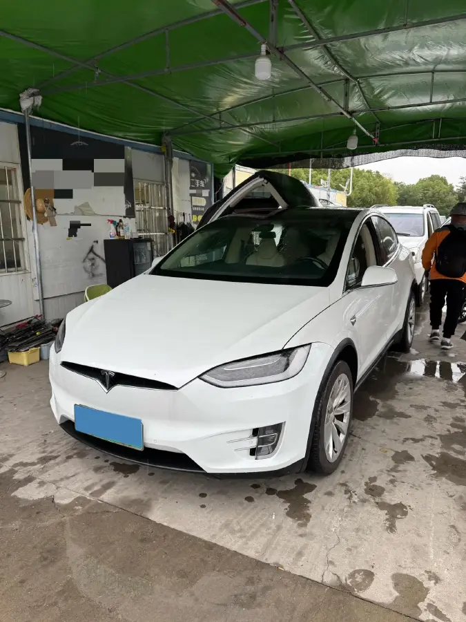 2019 Tesla Model X BEV 100KWH