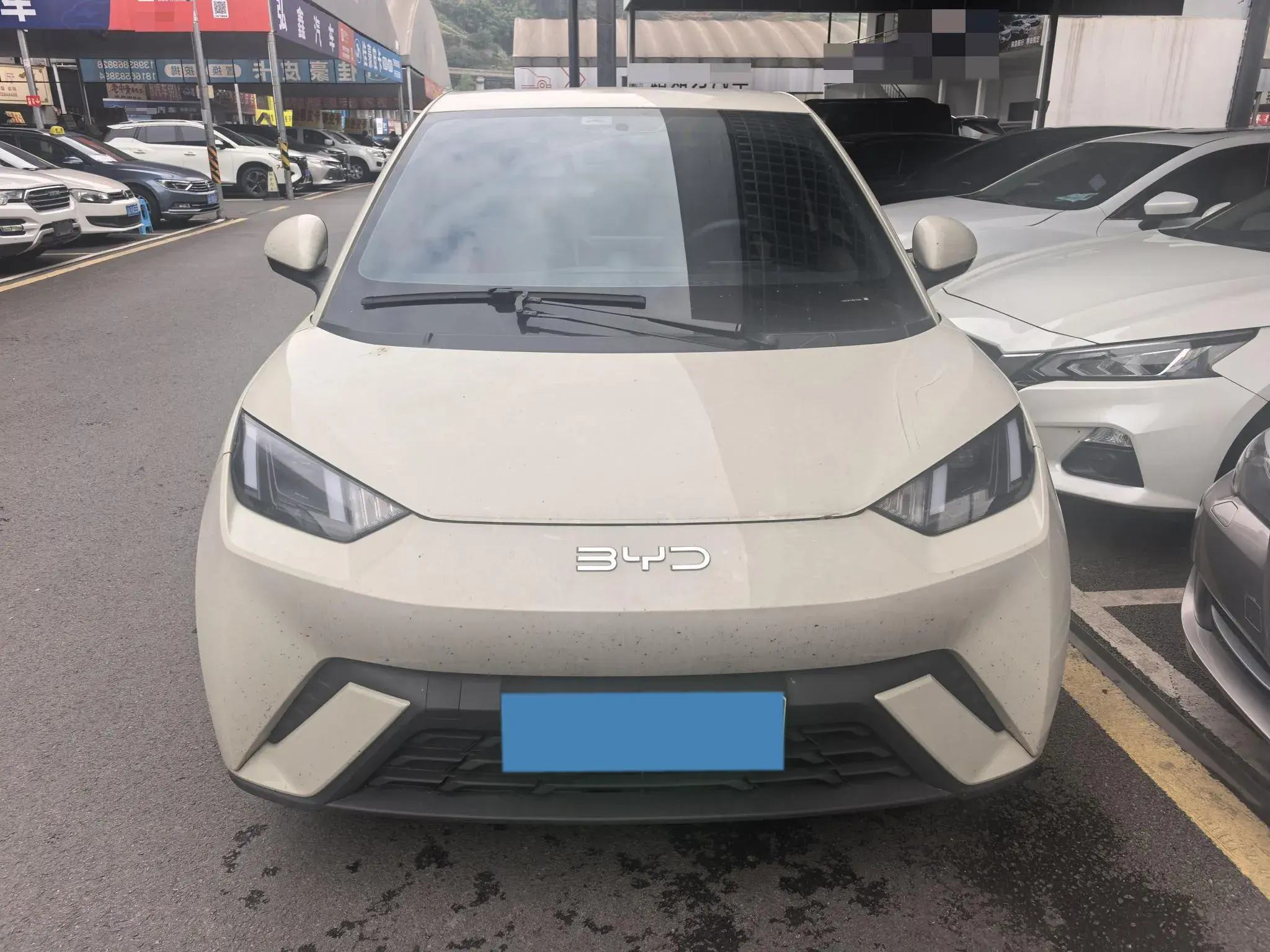 2025 BYD SEAGULL thumbnail 2