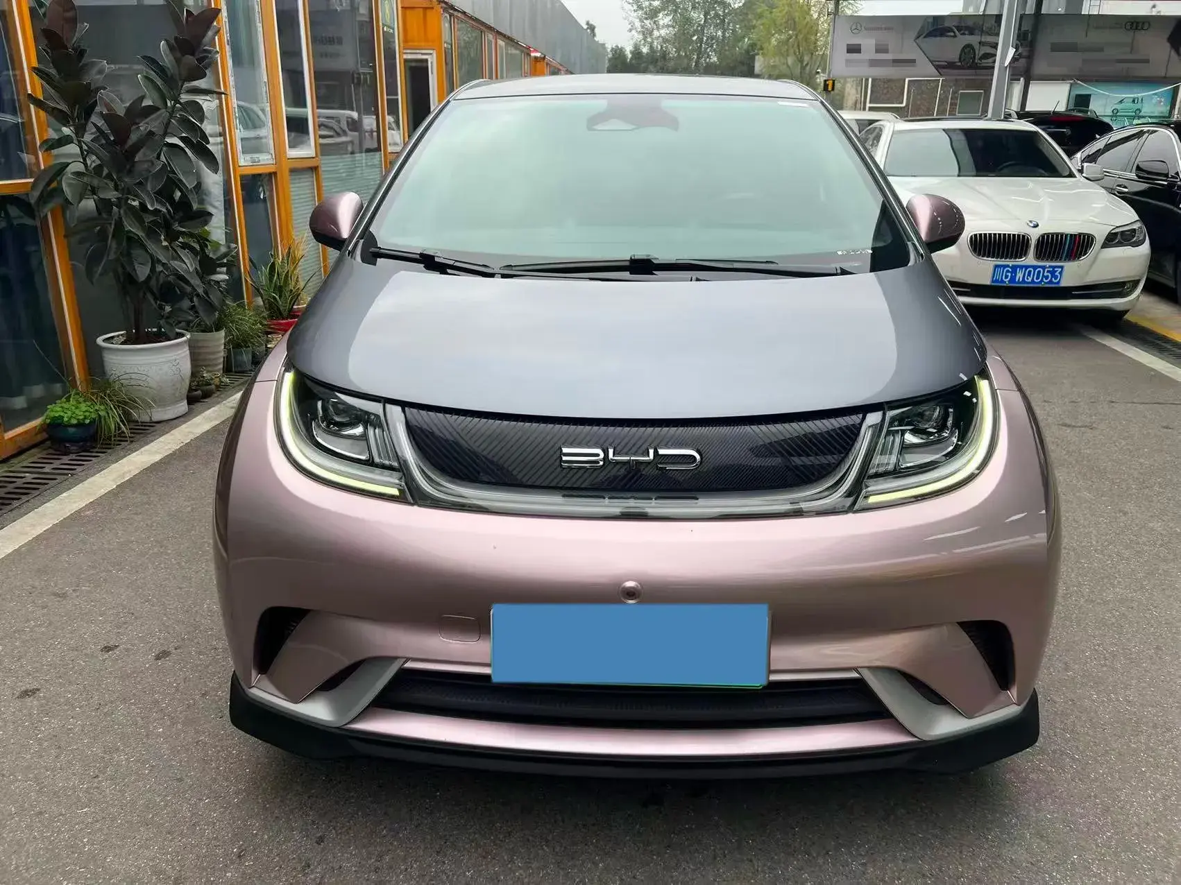 2021 BYD DOLPHIN thumbnail 2