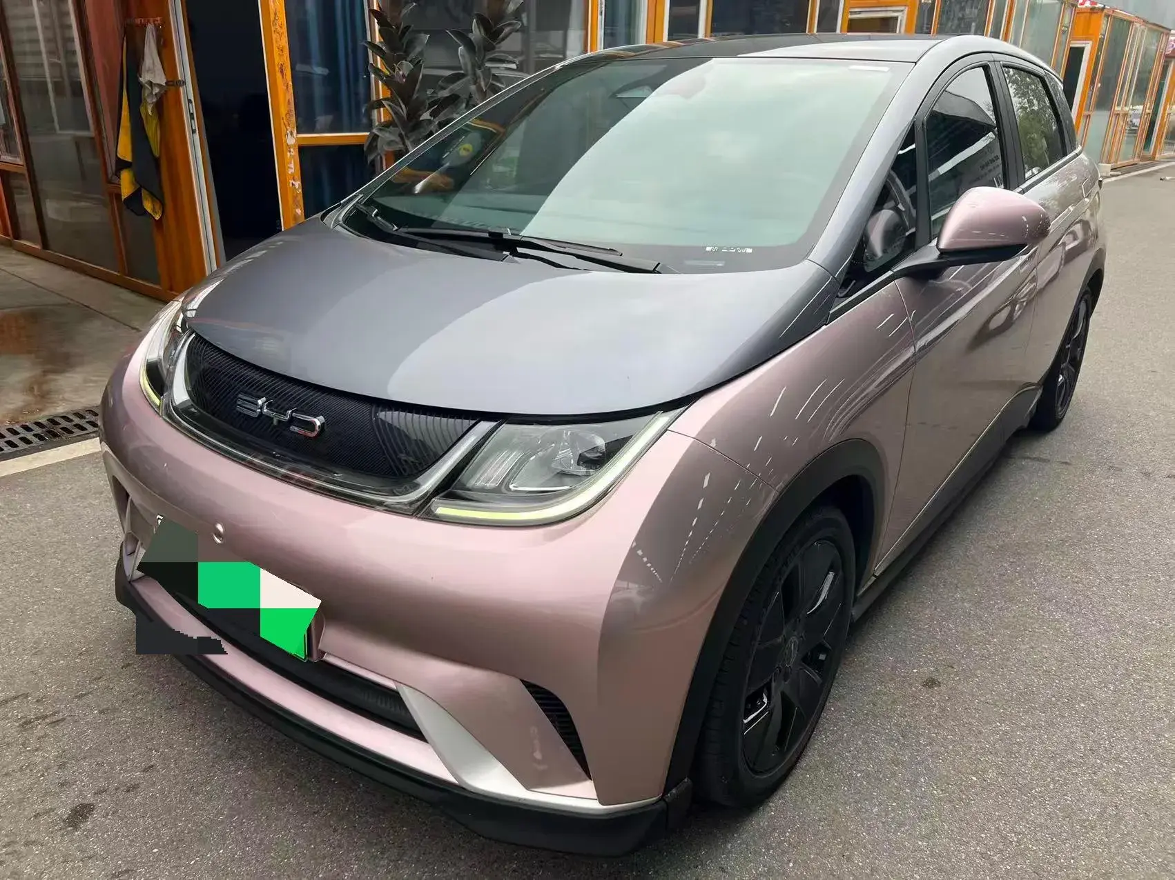 2021 BYD DOLPHIN view 1