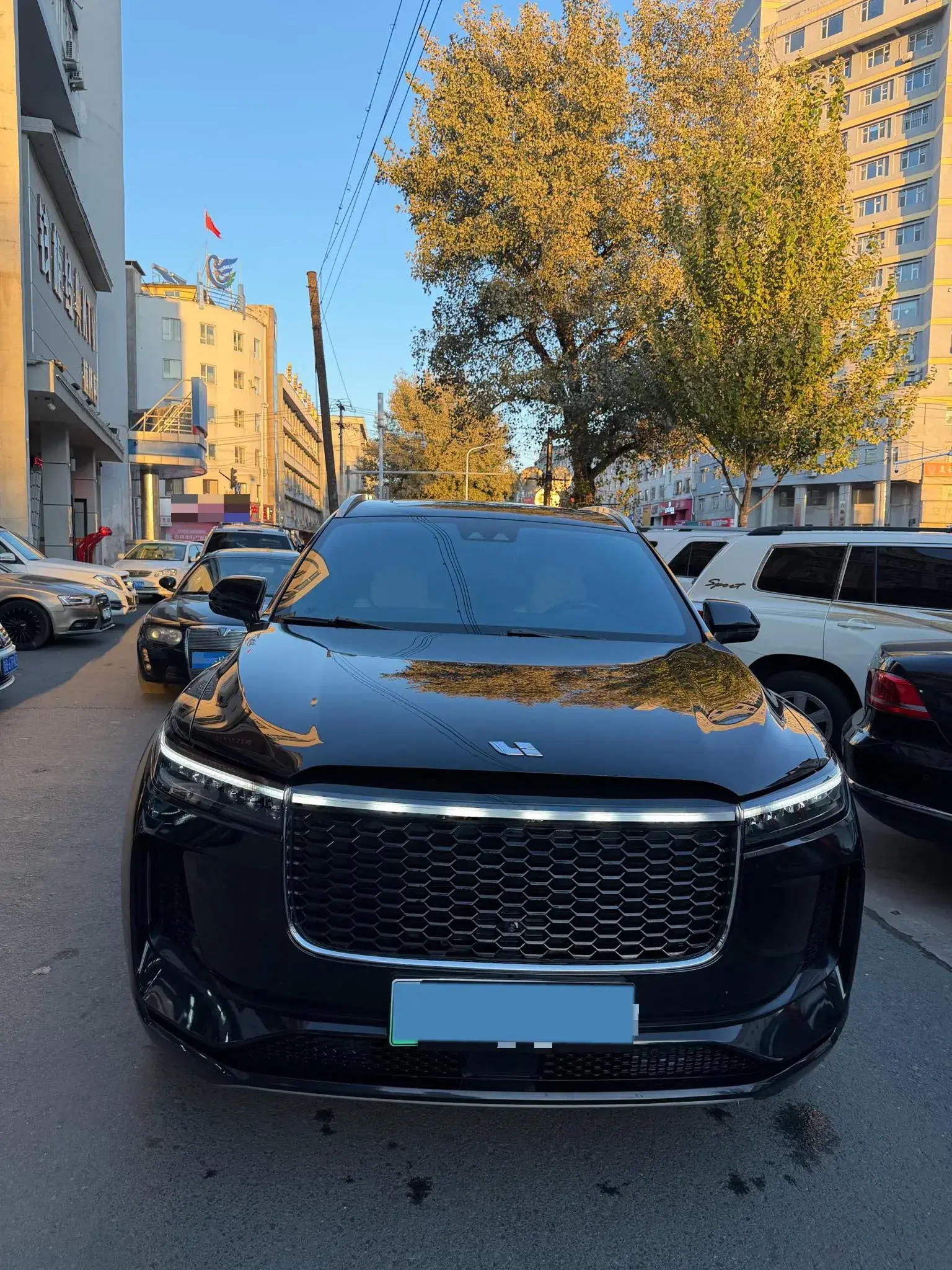 2020 LI ONE thumbnail 2