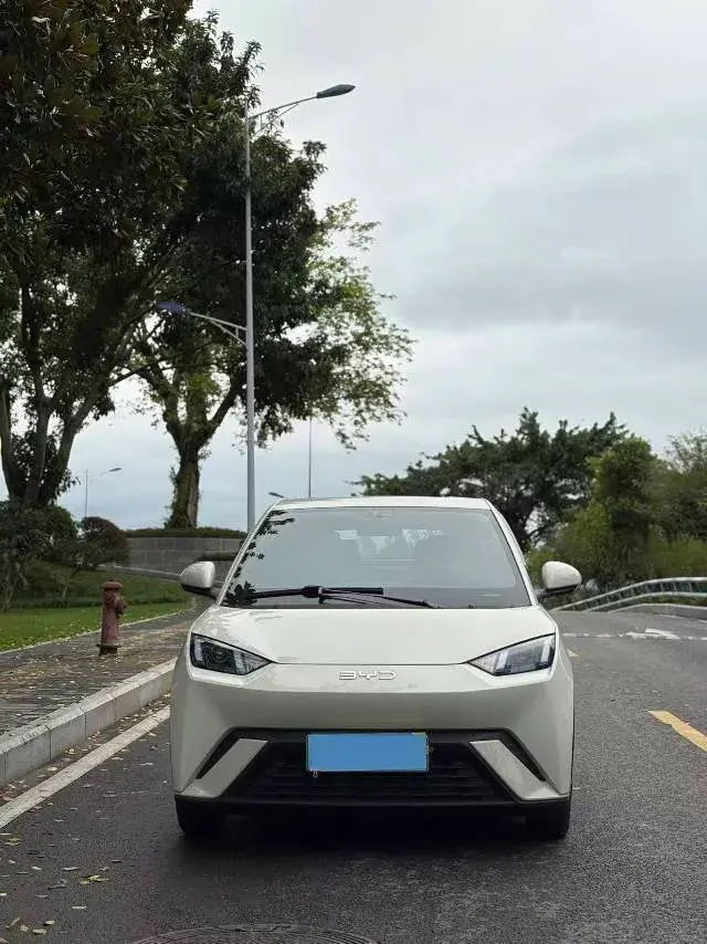 2024 BYD SEAGULL thumbnail 2