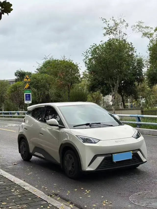 2024 BYD SEAGULL thumbnail 3