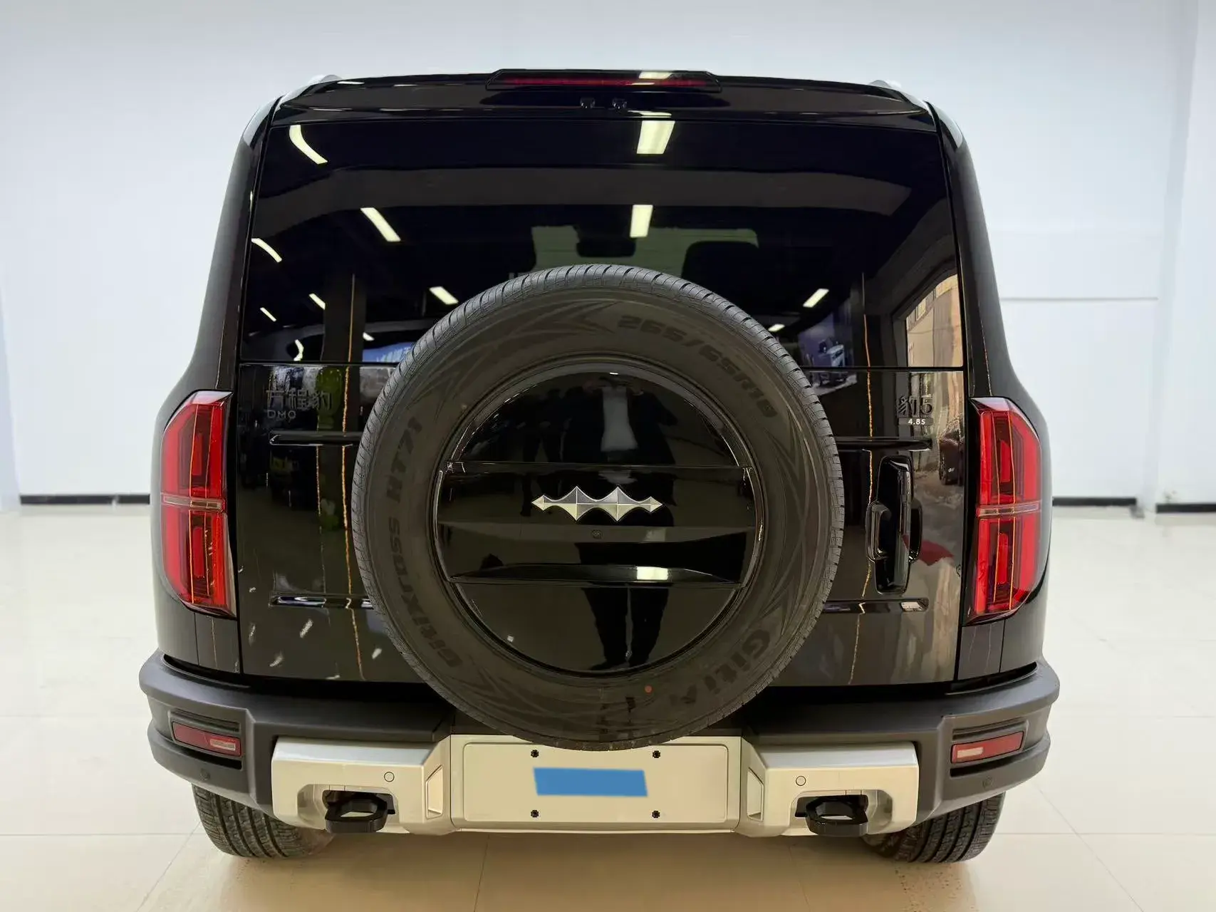 2023 FANGCHENGBAO BAO thumbnail 4