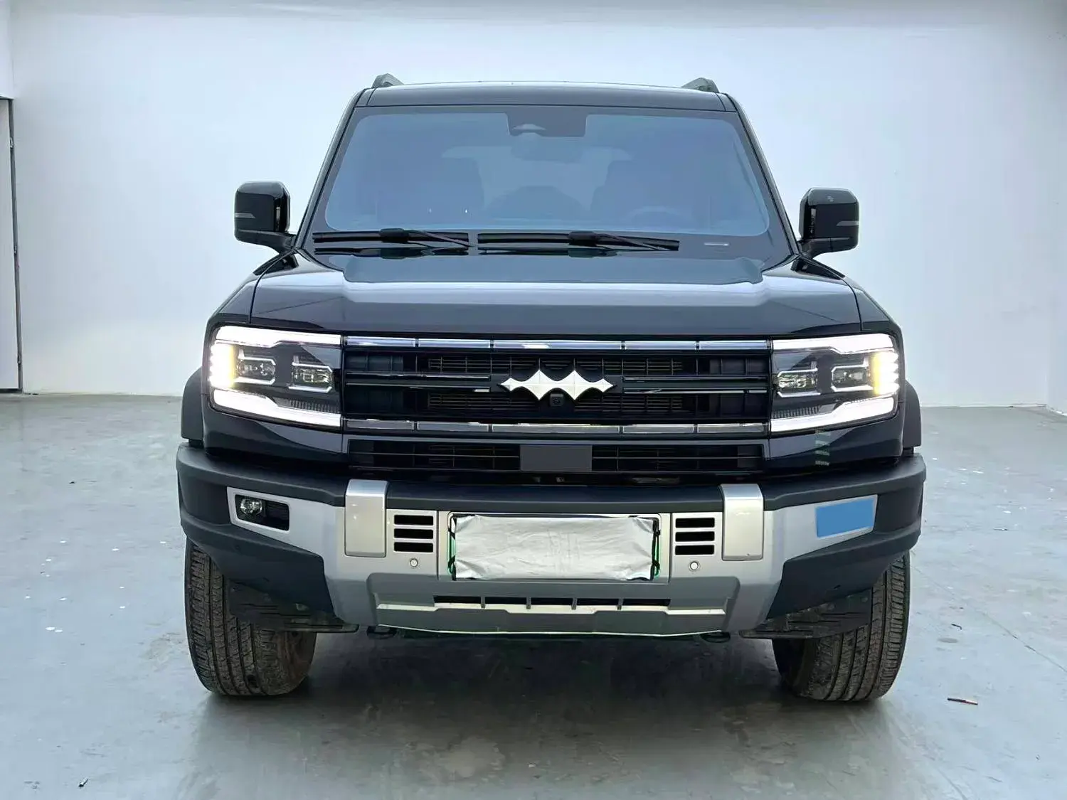 2023 FANGCHENGBAO BAO thumbnail 2