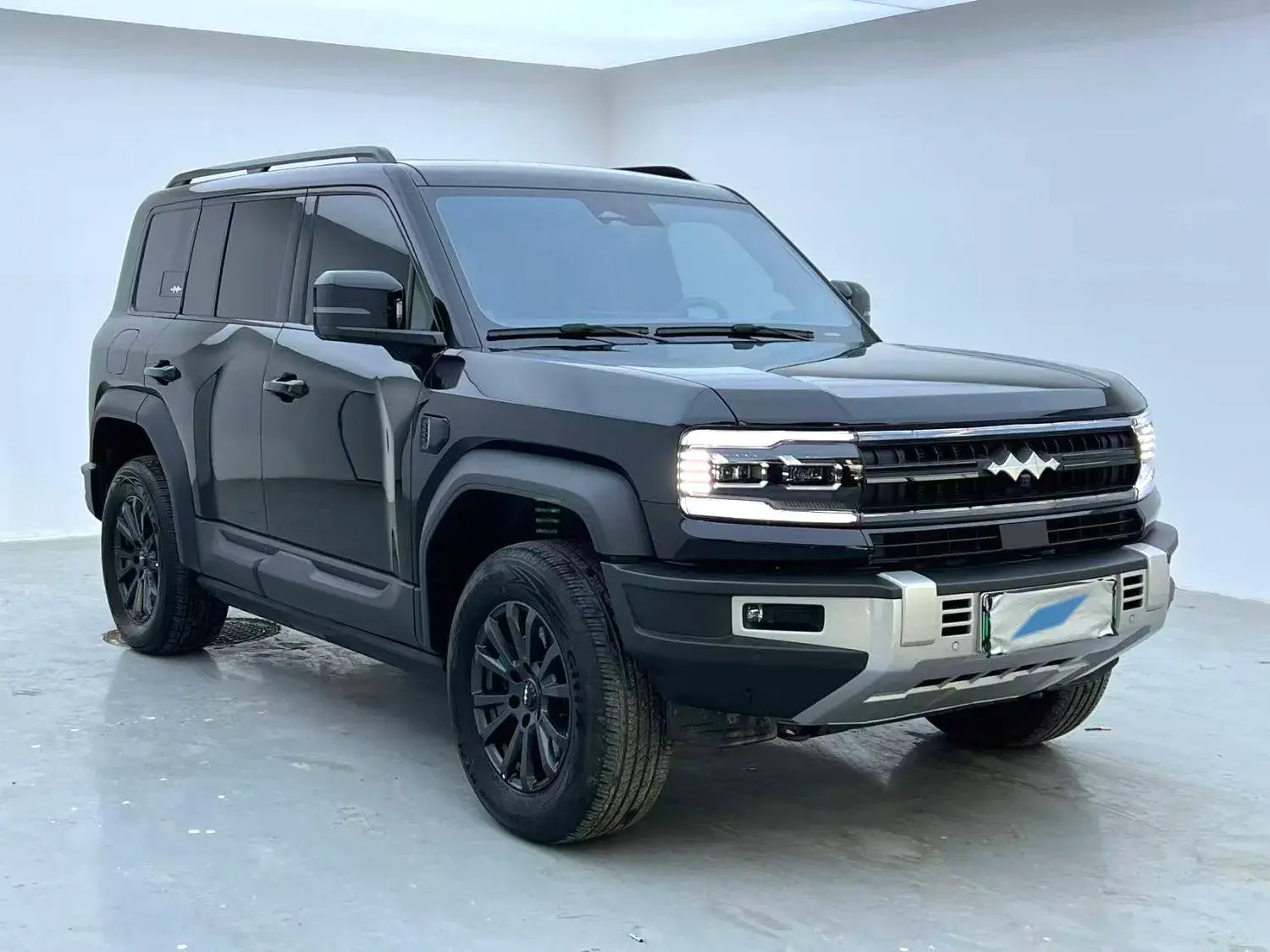 2023 FANGCHENGBAO BAO thumbnail 3